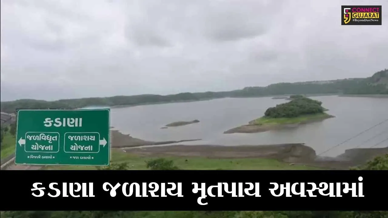 મહીસાગર : કડાણા ડેમ ખાલીખમ, નહિવત વરસાદથી ધરતીપુત્રોમાં ચિંતા વ્યાપી