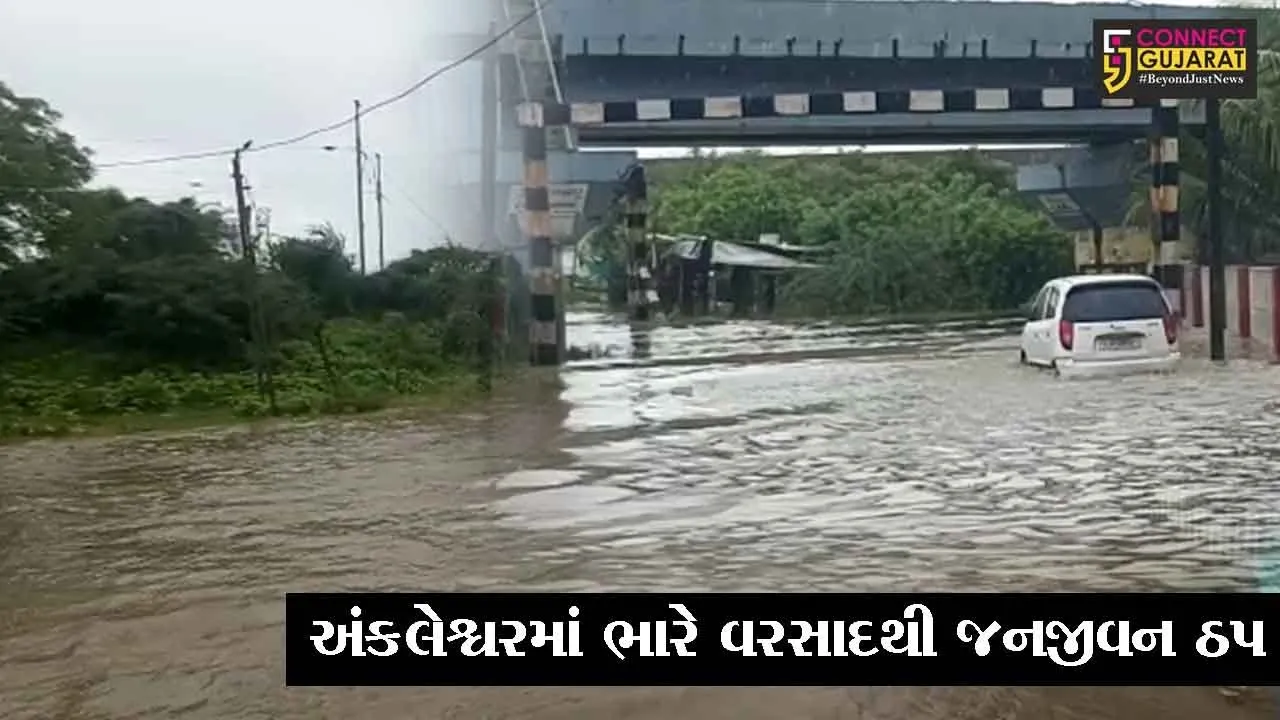 ભરૂચ : અંકલેશ્વરમાં આમલાખાડી ઓવરફલો, પીરામણ અંડરબ્રિજ થયો બંધ
