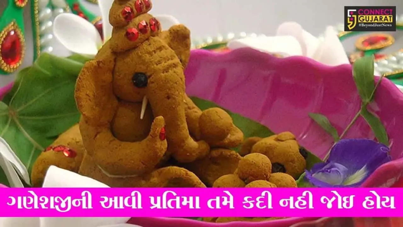 ભરૂચ : હળદર અને સુંઠના પાવડરમાંથી શ્રીજીની પ્રતિમા, જુઓ કેમ બનાવી આવી પ્રતિમા
