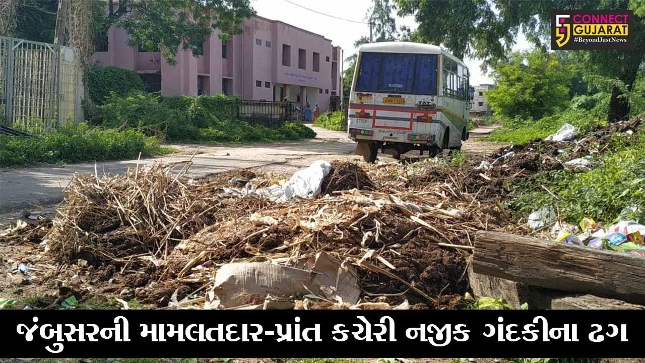 ભરૂચ : જંબુસરમાં સરકારી કચેરીઓ નજીક જોવા મળ્યા ગંદકીના ઢગ, કચેરીએ આવતા અરજદારો પરેશાન