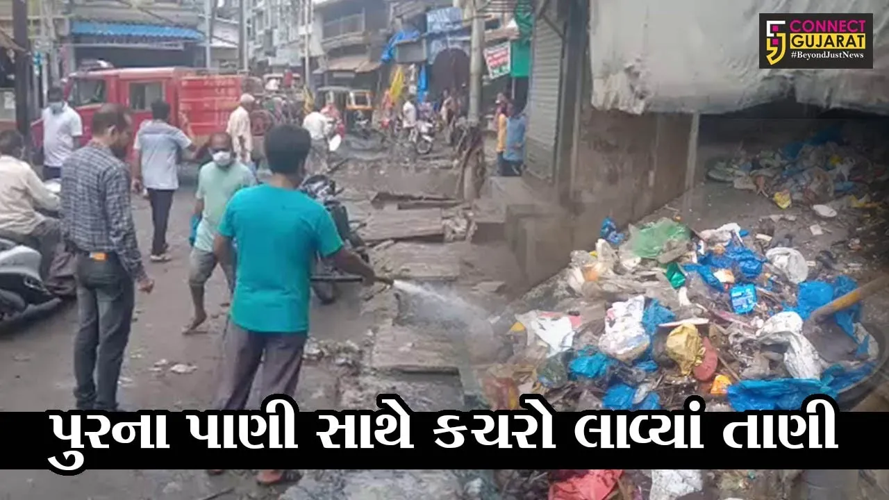 ભરૂચ : પુર બાદ નીચાણવાળા વિસ્તારોમાંથી નીકળે છે રોજ 20 ટન કચરો, સફાઇ માટે હજી વધુ પાંચ દિવસ લાગશે