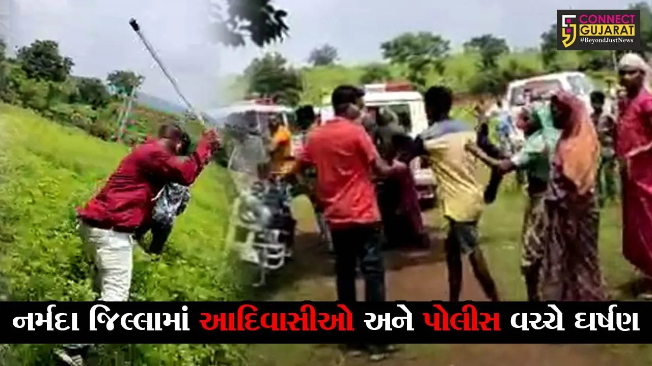 નર્મદા : રીઝર્વ ફોરેસ્ટની જમીનમાં ખેતી બાબતે આદિવાસીઓ અને પોલીસ આમને સામને આવી ગયાં