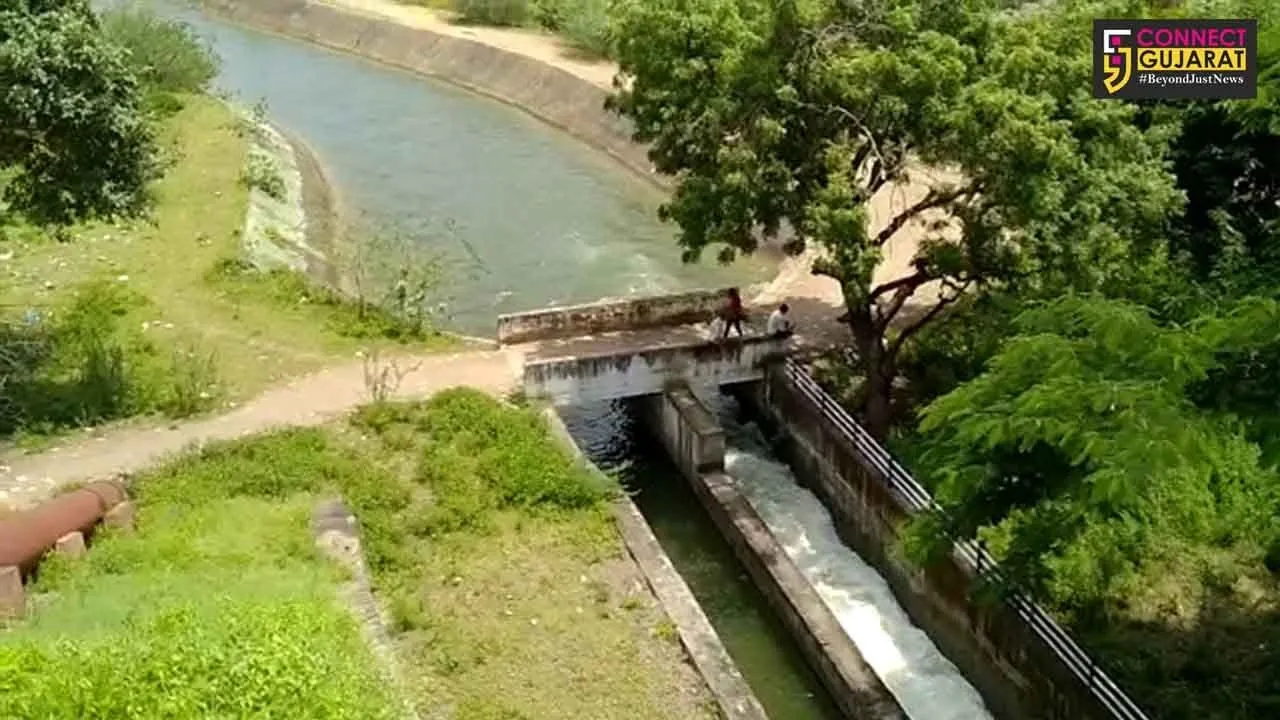 ભાવનગર : ખેડૂતોના હિતમાં હિતલક્ષી નિણૅય, શેત્રુંજી ડેમના વધારાના પાણીને વાળી ચેકડેમો-તળાવો ભરવાની હતી માંગ