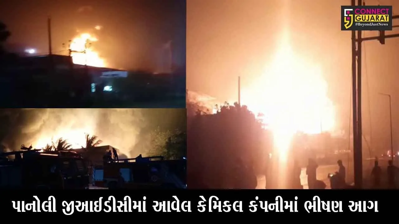 અંકલેશ્વર : પાનોલી જીઆઇડીસીમાં પાર્થ કેમિકલ કંપનીમાં ભીષણ આગ, ફાયબ્રિગેડ ઘટના સ્થળે
