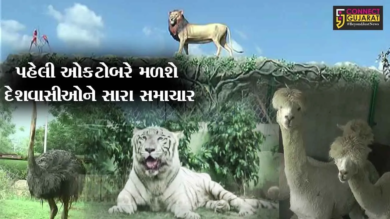 નર્મદા : સ્ટેચ્યુ ઓફ યુનિટી પાસેના જંગલ સફારી પાર્કને પહેલી ઓકટોબરથી ખુલ્લો મુકાશે