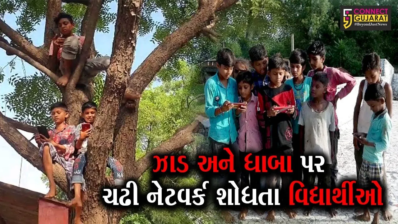 કપડવંજ : ડિજિટલ શિક્ષણ કેવી રીતે કેળવે બાળકો?, નેટવર્કની સમસ્યાથી અભ્યાસ પર માઠી અસર