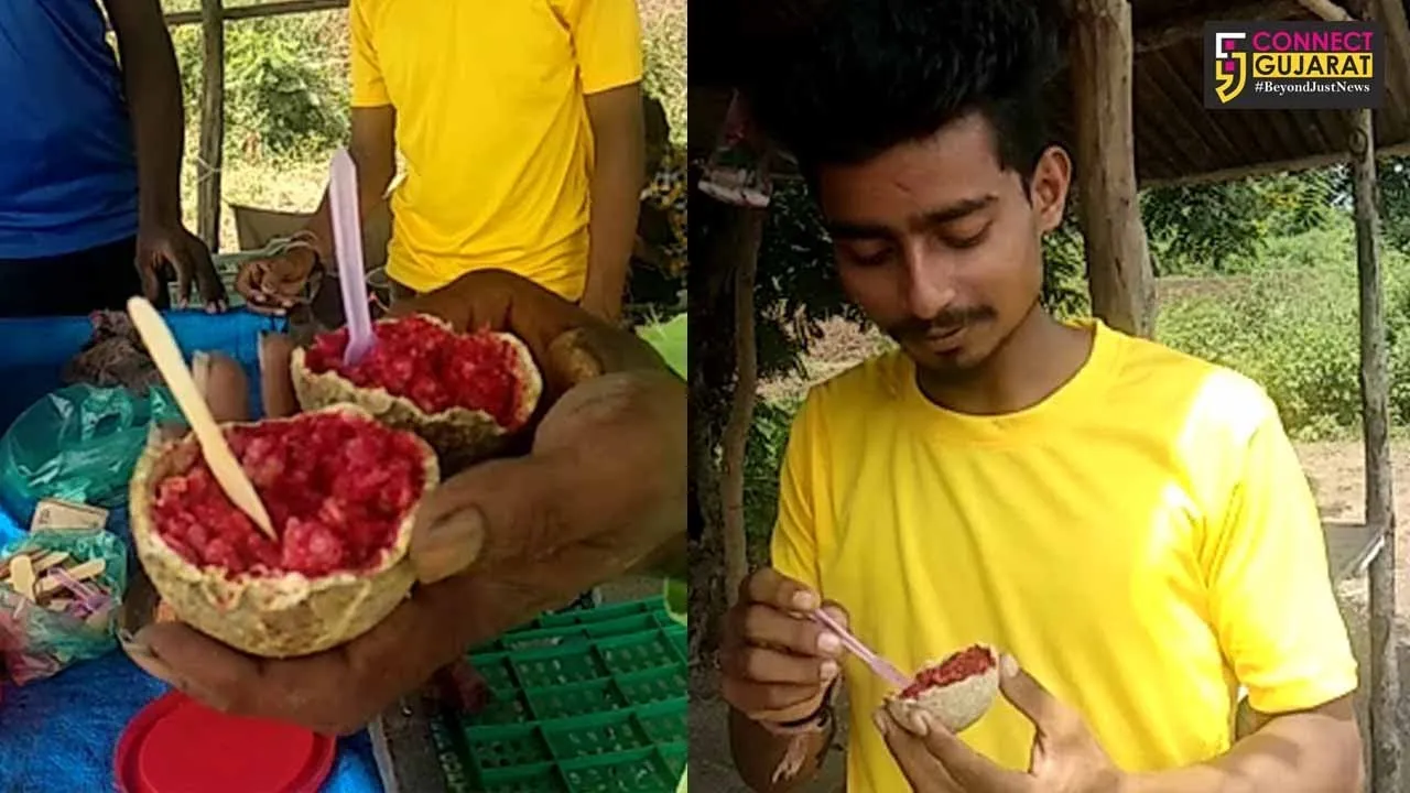 ભરૂચ : કોરોનામાં આ ફળનું સેવન તમને મદદરૂપ થઇ શકે છે, જુઓ કયું છે ફળ