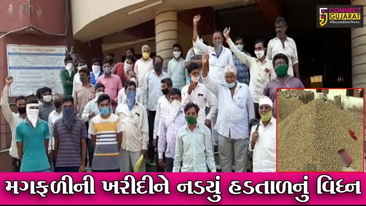 ભાવનગર : વીસીઇના કર્મીઓની હડતાળથી મગફળીની ખરીદી અટકી, જુઓ કોણે કરી સરકારમાં રજુઆત