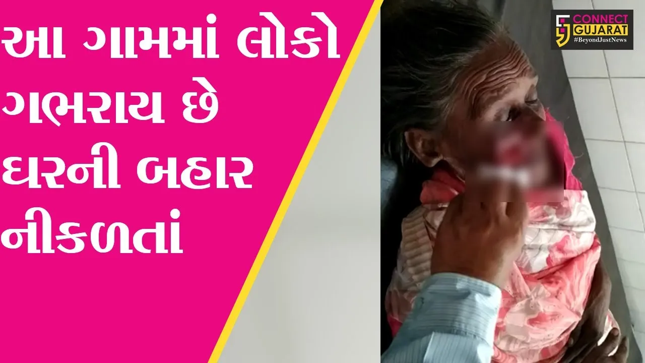 ભરૂચ : જંબુસરના ઉચ્છદ ગામે હડકાયા શ્વાનનો આતંક, 7 લોકોને કરડી ખાધા