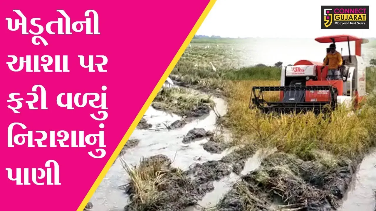 ભરૂચ : અંકલેશ્વર-હાંસોટના ખેડૂતોની “આશા” પર ફરી વળ્યું “નિરાશા”નું પાણી, જાણો શું છે કારણ..!