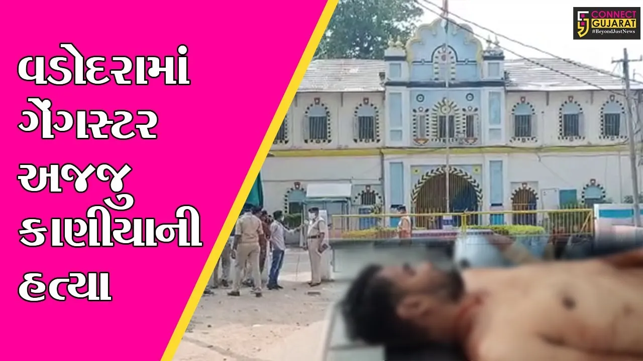 વડોદરા : સેન્ટ્રલ જેલમાં કેદીઓ વચ્ચે મારામારીમાં ગેંગસ્ટર અજજુ કાણીયાની હત્યા