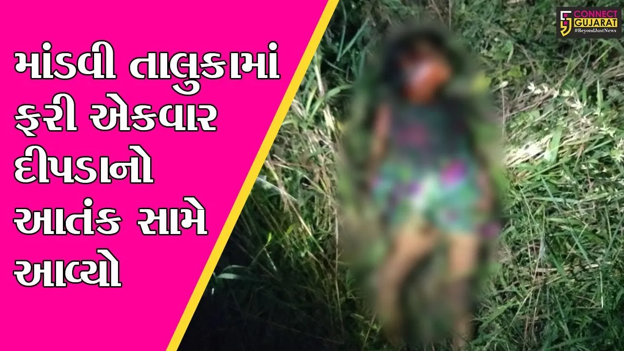 સુરત : મધરકુઈ ગામે ભાઈ-બહેન રમતા હતા ઘરના આંગણે, જુઓ દીપડાએ અચાનક આવી શું કર્યું..!