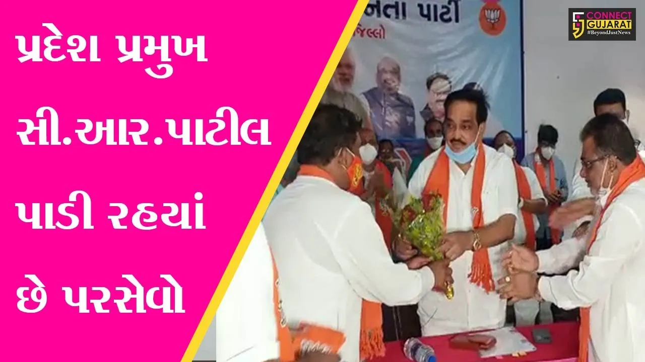 ડાંગ : વિધાનસભા બેઠક જીતવા ભાજપ કટીબધ્ધ, પ્રદેશ પ્રમુખે કાર્યકરોને આપ્યું માર્ગદર્શન