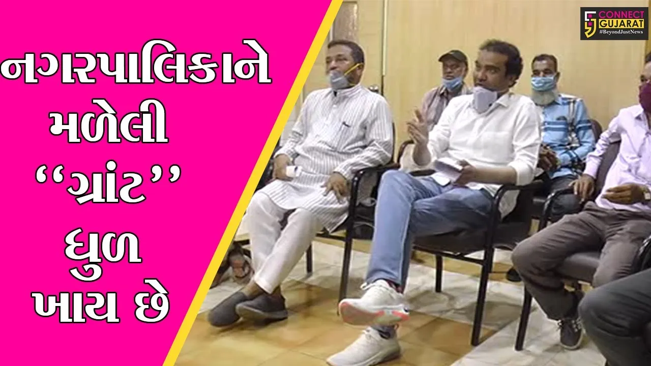 ભરૂચ : સરકાર તરફથી મળેલી ગ્રાંટનો ઝડપથી ઉપયોગ કરવા પાલિકા સત્તાધીશોને રજુઆત