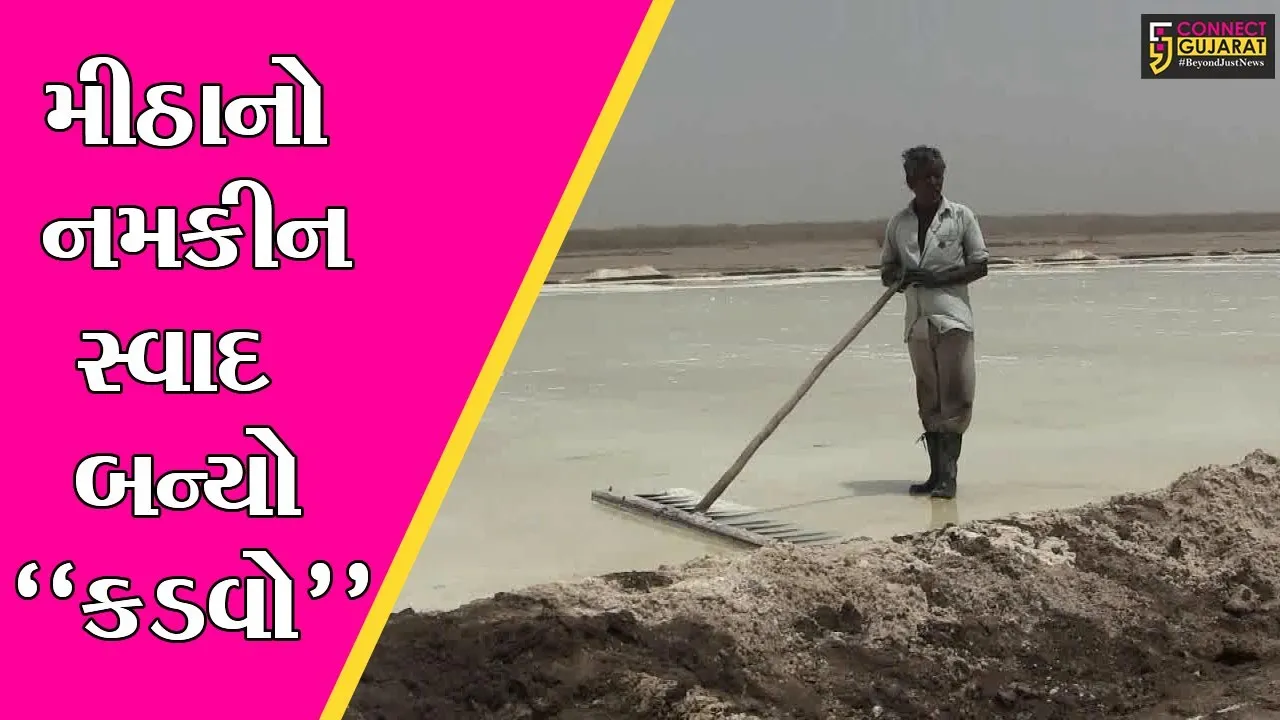 સુરેન્દ્રનગર : રણમાં કાળી મજૂરી કરતાં અગરીયાઓ માટે વરસાદ બન્યો “આફત”, જુઓ શું છે કારણ..!