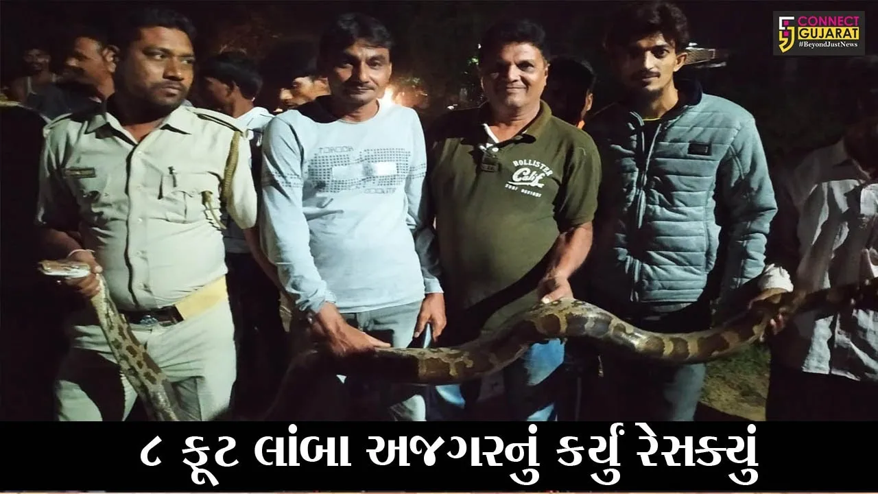 ભરૂચ : આમોદ ગામે 8 ફૂટ લાંબો અજગર નીકળ્યો, જુઓ અજગરનું “LIVE” રેસક્યું..!