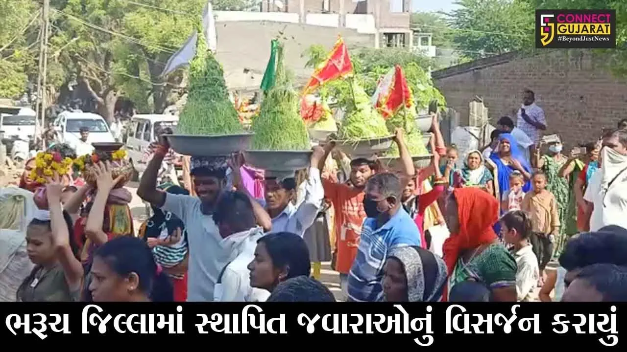 ભરૂચ : માં જગદંબાની આરાધના બાદ માઈભક્તોએ જવારાનું નર્મદામાં કર્યું વિસર્જન