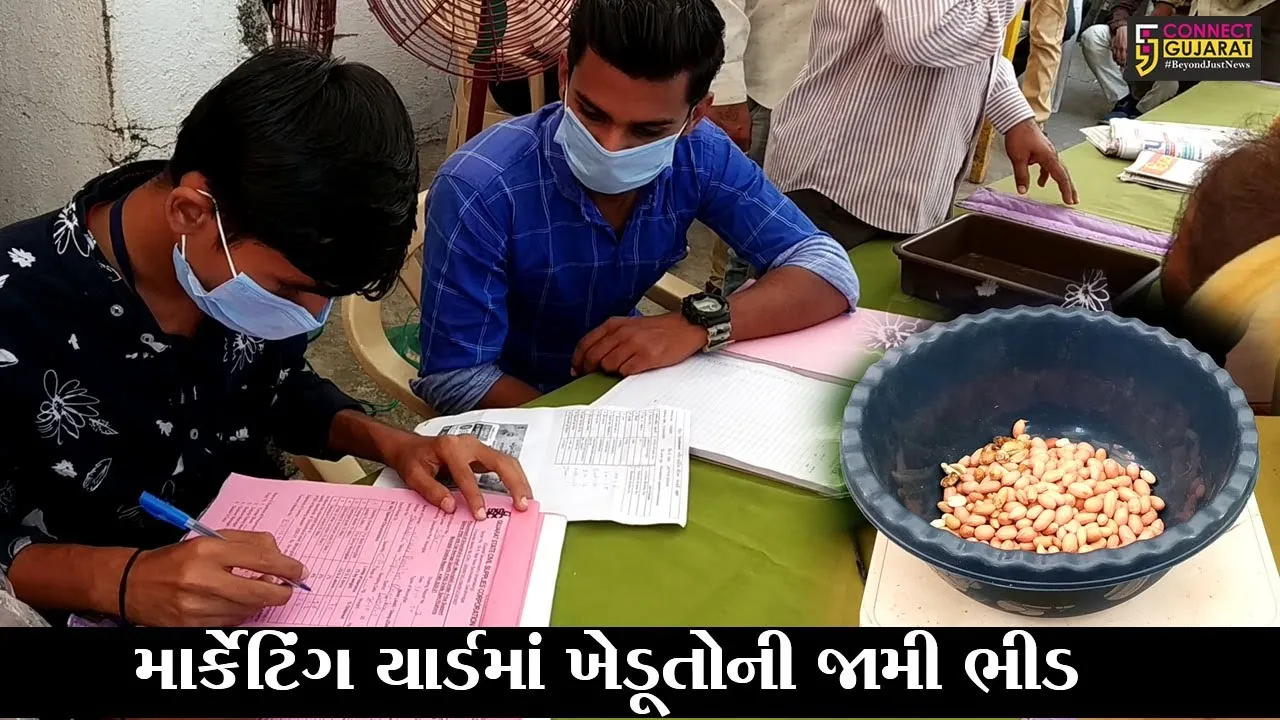 રાજકોટ : જેતપુર માર્કેટિંગ યાર્ડમાં ટેકાના ભાવે મગફળીની ખરીદી શરૂ, 22 જેટલા સ્થળે શરૂ કરાયા ખરીદી કેન્દ્ર