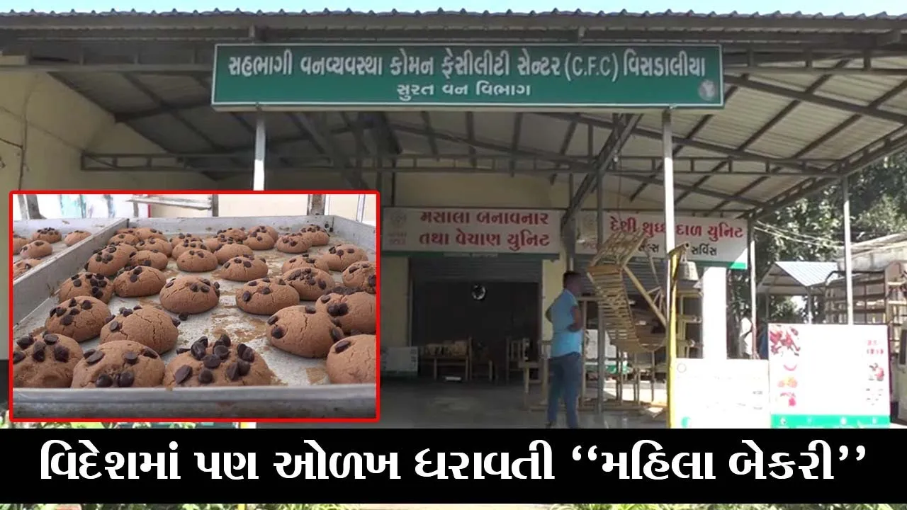 સુરત : વીસડાલિયાની “મહિલા બેકરી”ને કેનેડાથી મળ્યો 1200 કિલો બિસ્કીટનો ઓર્ડર, જાણો શું છે કારણ..!