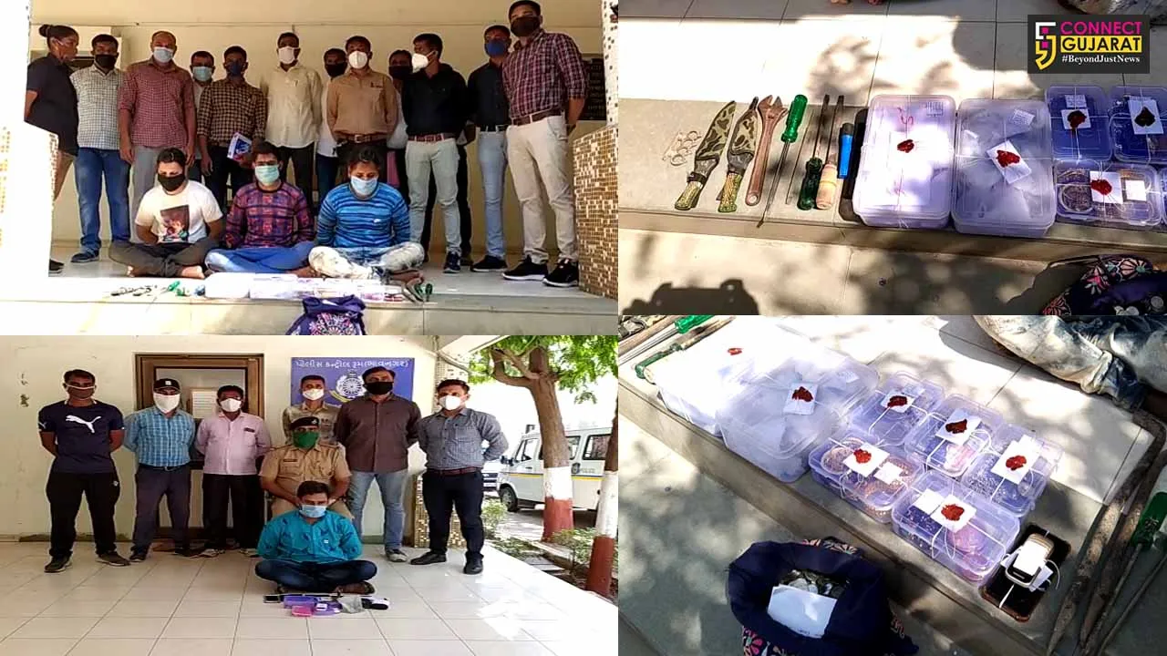 ભાવનગર : ચીકલીગર ગેંગની મહિલા સહિત ચાર સાગરીતો ઝબ્બે, 33 ઘરફોડ ચોરીનો ઉકેલાયો ભેદ