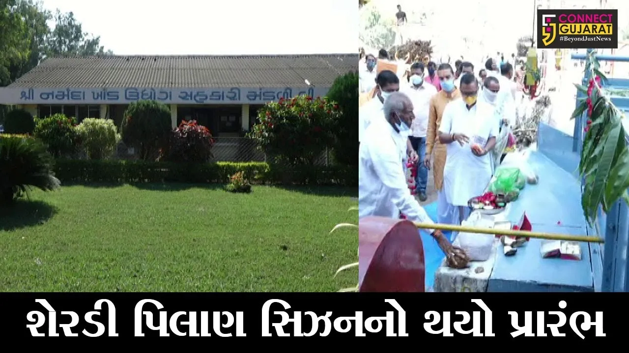 નર્મદા : ધારીખેડા સુગર ફેક્ટરીમાં 8 લાખ મેટ્રિક ટન શેરડીનું લક્ષ્યાંક, સલ્ફરલેસ ખાંડનું કરાશે ઉત્પાદન