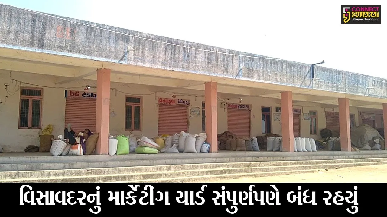 જુનાગઢ : કેશુભાઇ પટેલના માદરે વતન વિસાવદરમાં “બાપા”ને અનોખી શ્રદ્ધાંજલિ