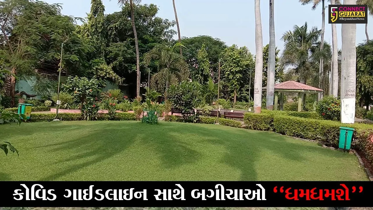 ભરૂચ : છેલ્લા 8 માસથી બંધ બાગ-બગીચાઓ પુનઃ ખુલશે, જાણો કેવા નિયમો સાથે લોકોને મળશે પ્રવેશ..!