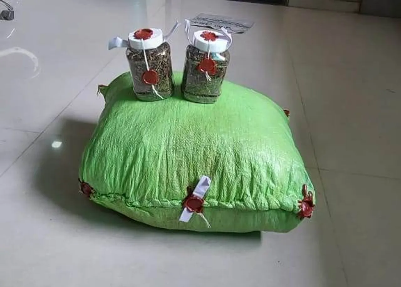 ભરૂચ : જંબુસરના પિલુદ્રા ગામેથી 7 કીલો ગાંજા સાથે એક આરોપી ઝડપાયો