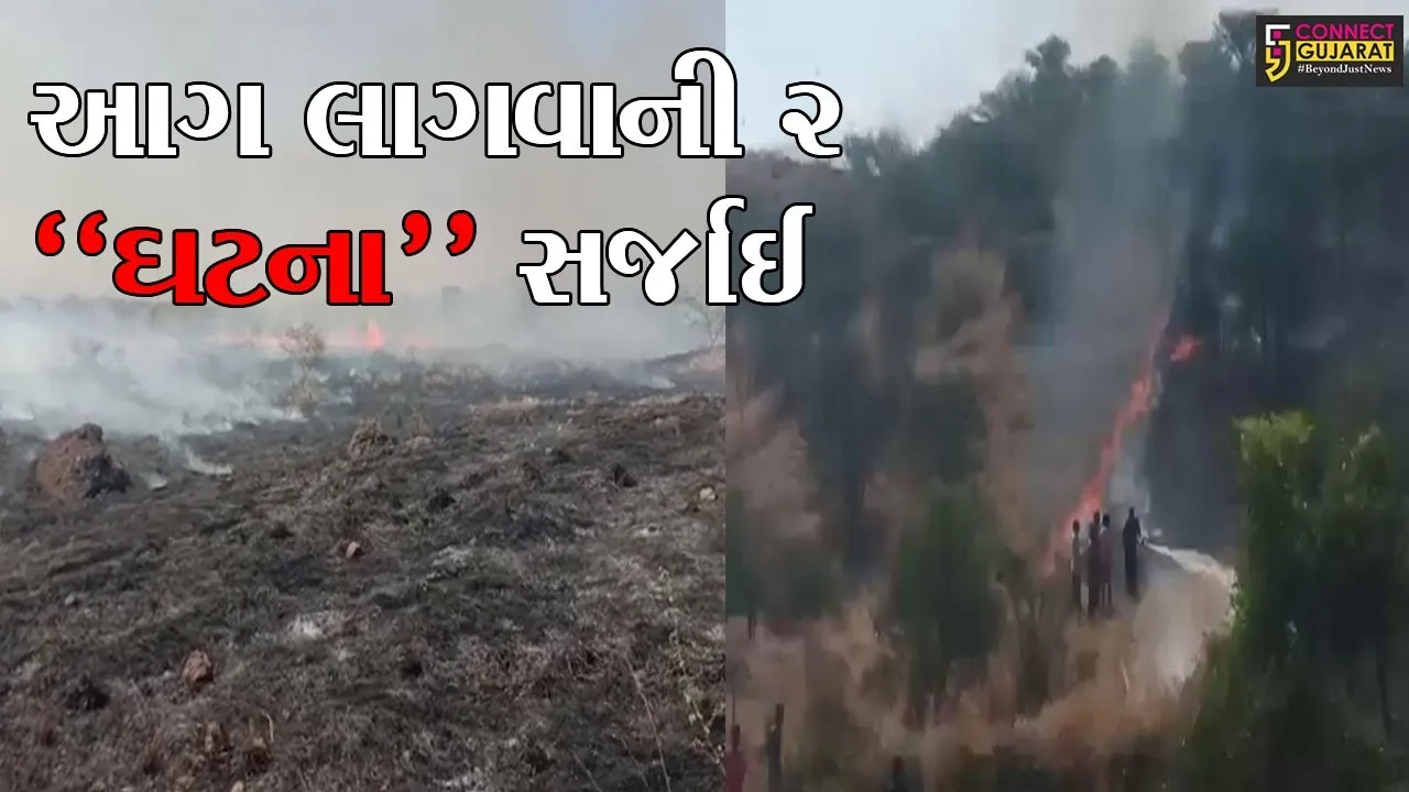 રાજ્યમાં સર્જાઈ આગ લાગવાની 2 અલગ અલગ ઘટના, જામનગર તેમજ ભાવનગર નજીક ગામની સીમ લાગી આગ