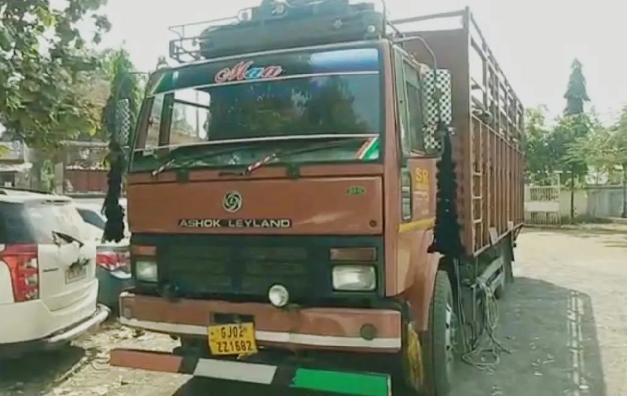 ભરૂચ : વાલિયા નજીકથી 2 ટેમ્પામાં કતલખાને લઈ જવાતી 33 ભેંસને પોલીસે મુક્ત કરાવી, એક ઇસમની ધરપકડ