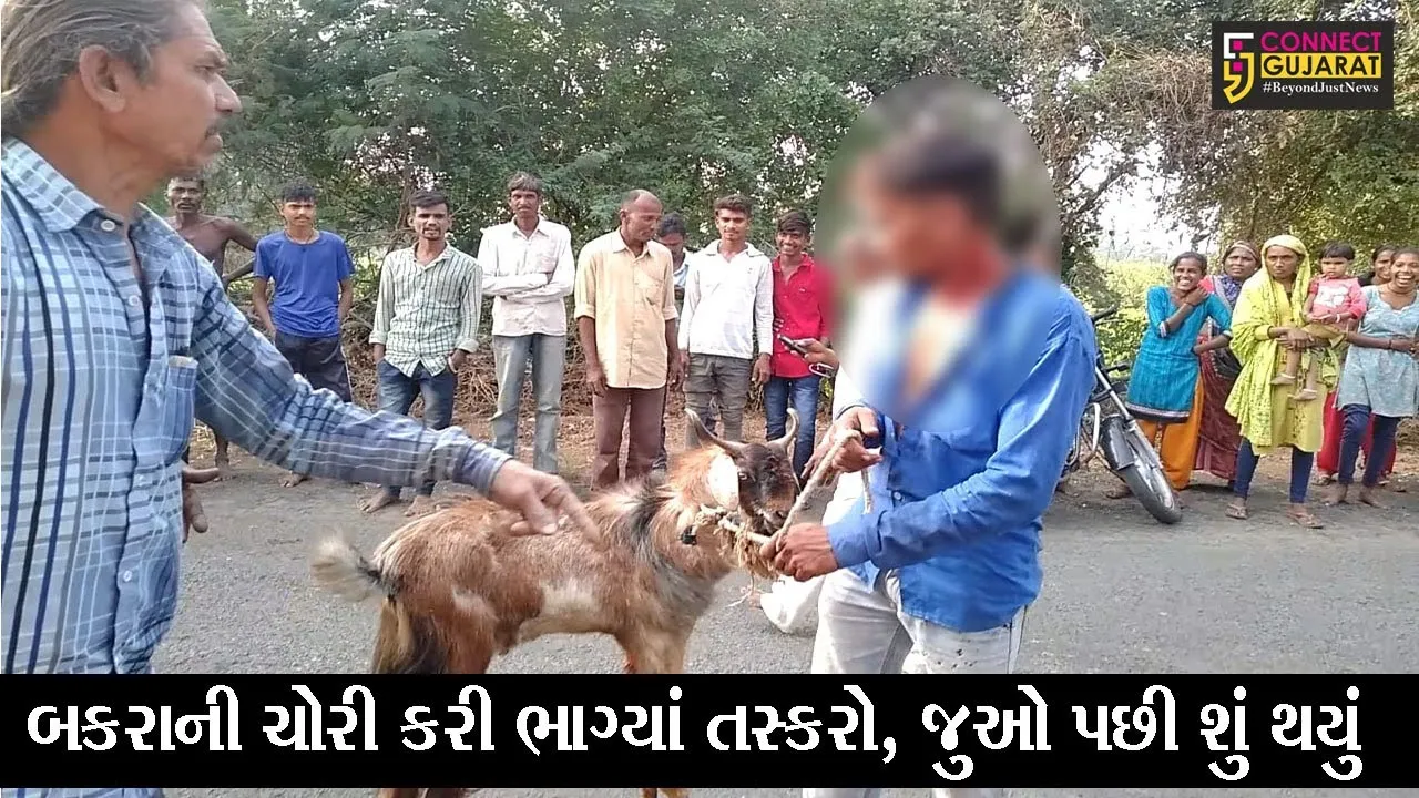 ગોધરા : માતરિયા વ્યાસ ગામે તસ્કરો બકરો લઇને ભાગ્યાં પણ જુઓ પછી જે થયું તે તસ્કરો કોઇ દિવસ નહિ ભુલી શકે