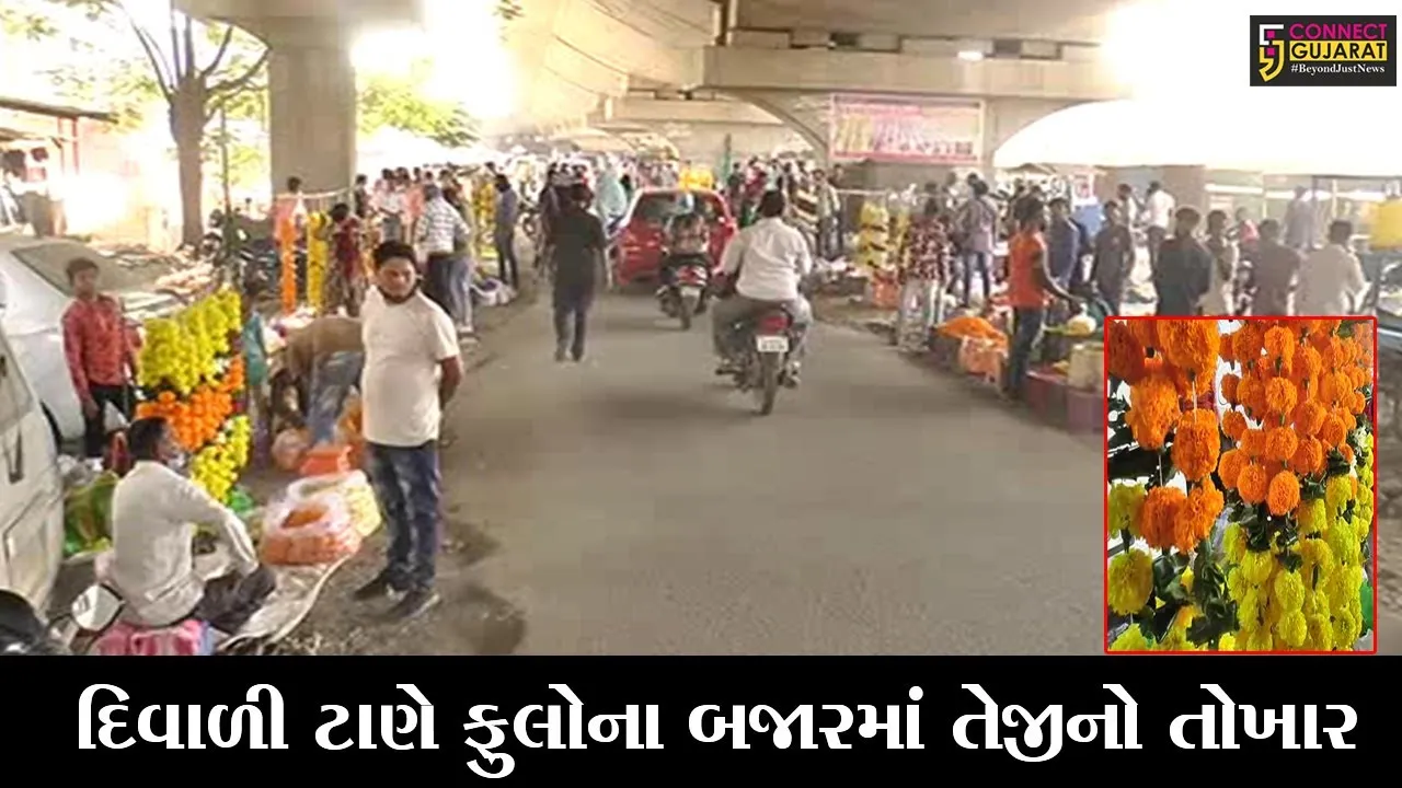 ભરૂચ : 20 રૂપિયે કિલો વેચાતા ફુલોનો ભાવ 200 રૂા.એ પહોંચ્યો, દિવાળીના તહેવારોમાં રહે છે ફુલોની માંગ