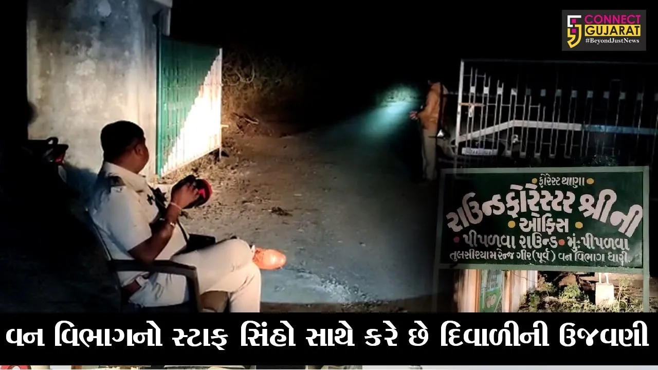 અમરેલી : સિંહોના રક્ષણ માટે વન વિભાગની ટીમોનું રાઉન્ડ ધ કલોક પેટ્રોલીંગ