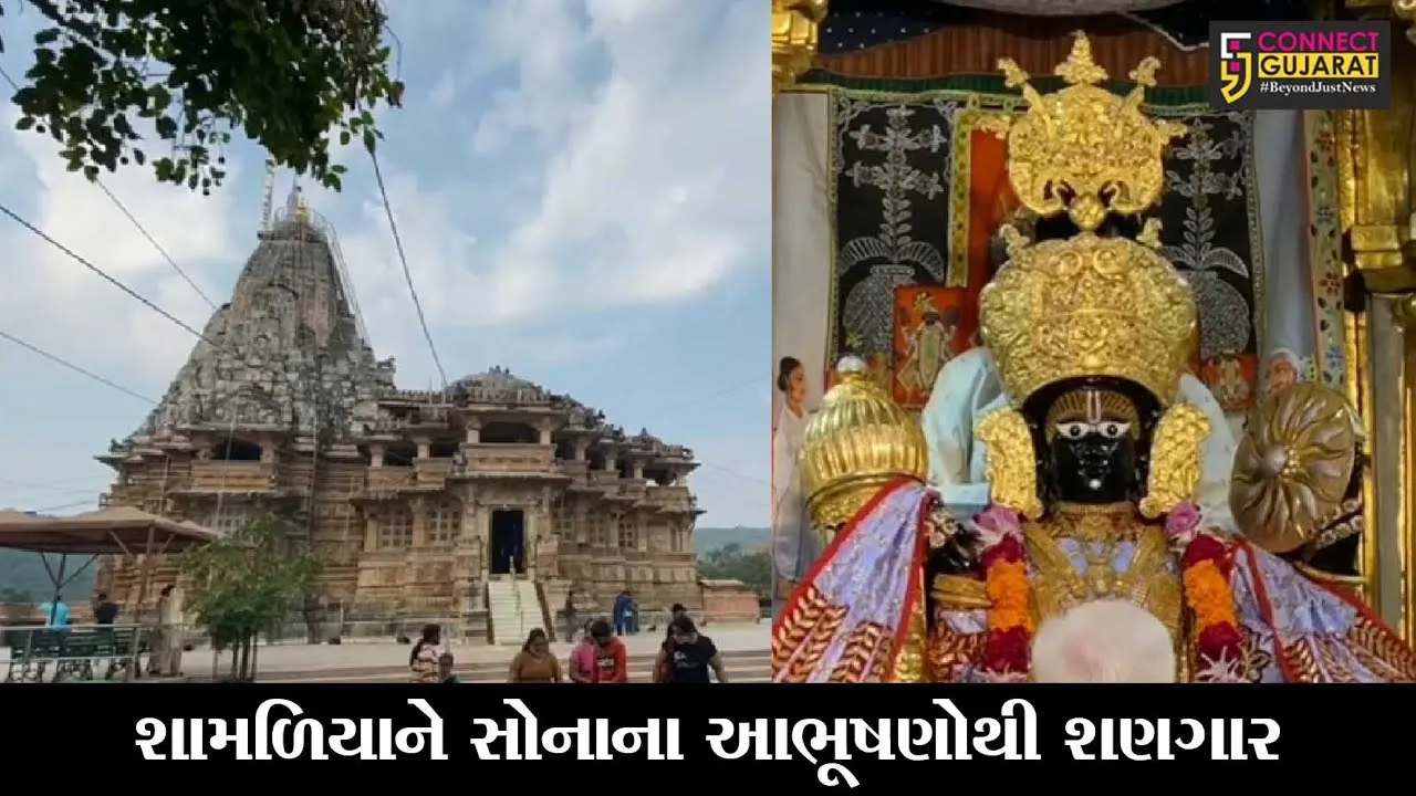 અરવલ્લી : દિવાળી તેમજ નૂતન વર્ષ નિમિત્તે યાત્રાધામ શામળાજી ખાતે ભક્તોનું ઘોડાપૂર