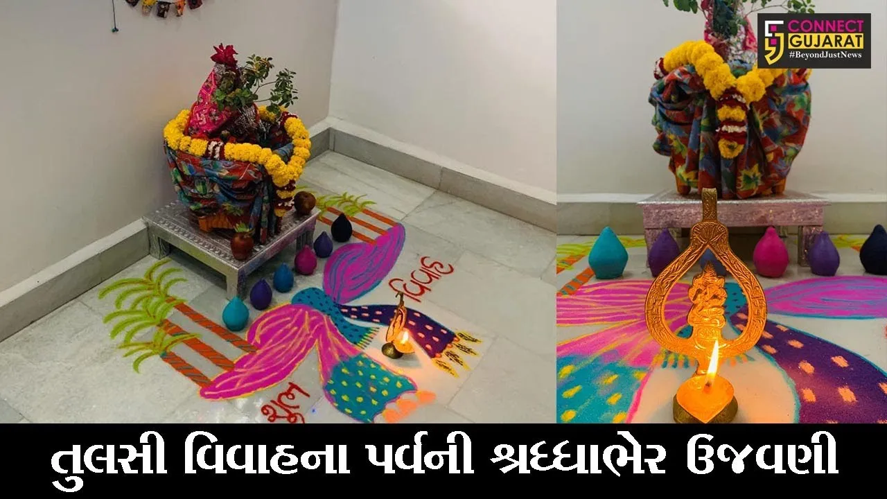 ભરૂચ : દેવોની નિંદ્રા ત્યજવાના પર્વ તુલસી વિવાહની કરવામાં આવી ઉજવણી