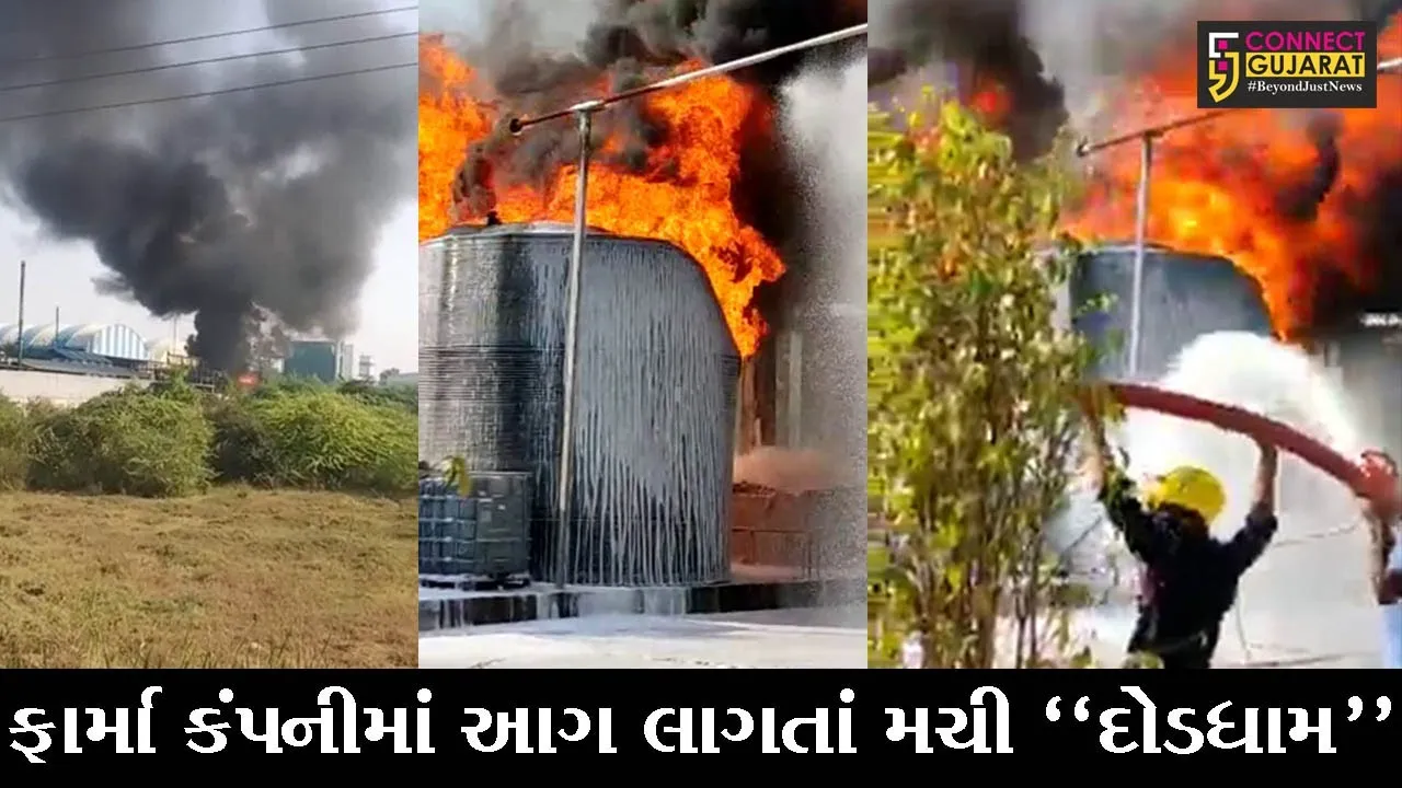 ભરૂચ : ઝઘડીયાની ફાર્મા કંપનીમાં લાગી અચાનક ભીષણ આગ, ફાયર ફાઇટરોએ લગાવી દોટ