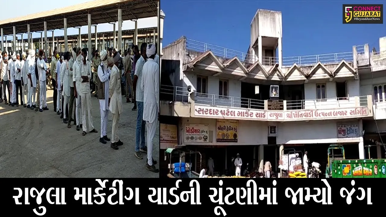 અમરેલી : રાજુલા માર્કેટીંગ યાર્ડનીચૂંટણીમાં સહકાર પેનલ-ખેડૂત પરિવર્તન પેનલ વચ્ચે જામ્યો ખરાખરીનો જંગ