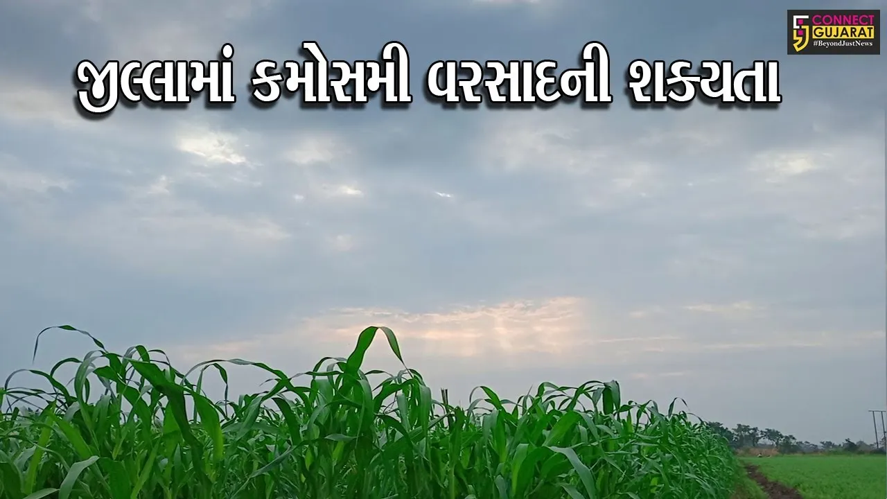 ગીર સોમનાથ : વાતાવરણમાં પલ્ટા સાથે આવતીકાલે વરસાદની આગાહી