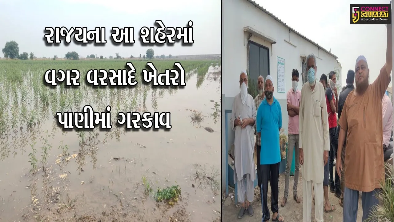 ભરૂચ : દહેગામ પાસે સંગ્રહ કરાયેલા પાણીના તળાવની પાળ તુટી, જુઓ પછી શું થયું