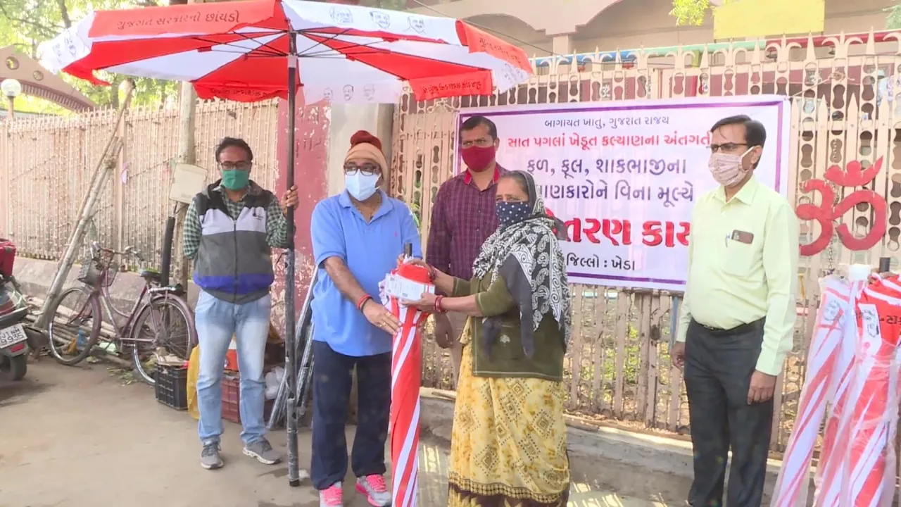 ખેડા : “ગુજરાત સરકારનો છાંયડો”, નડીઆદમાં ફળ-ફૂલ અને શાકભાજીના વેપારીઓને કરાયું છત્રીનું વિતરણ