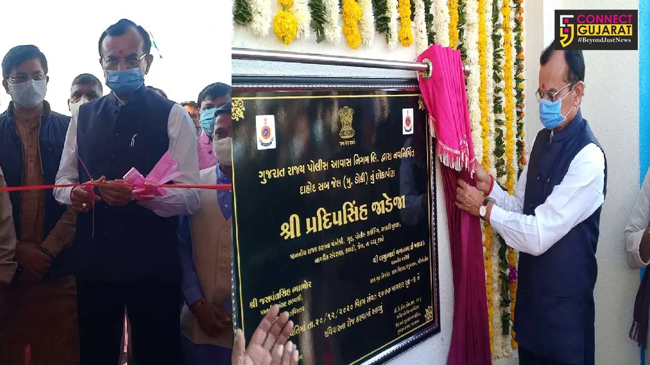 ગુજરાતની સમૃદ્ધિ પાછળ શાંતિ અને સલામતીની અહમ ભૂમિકા : ગૃહ મંત્રી પ્રદીપસિંહ જાડેજા