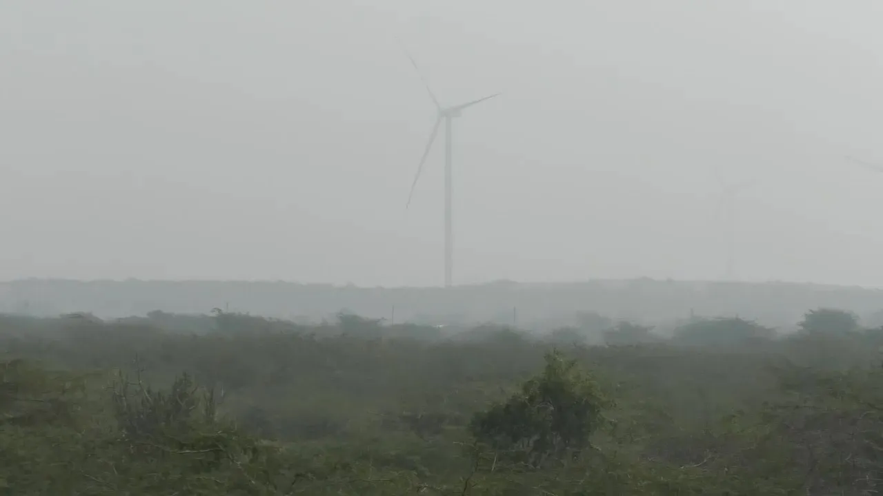 કચ્છ : હાડ થીજવતી ઠંડી અને બર્ફીલા પવનથી જનજીવન થયું અસ્તવ્યસ્ત