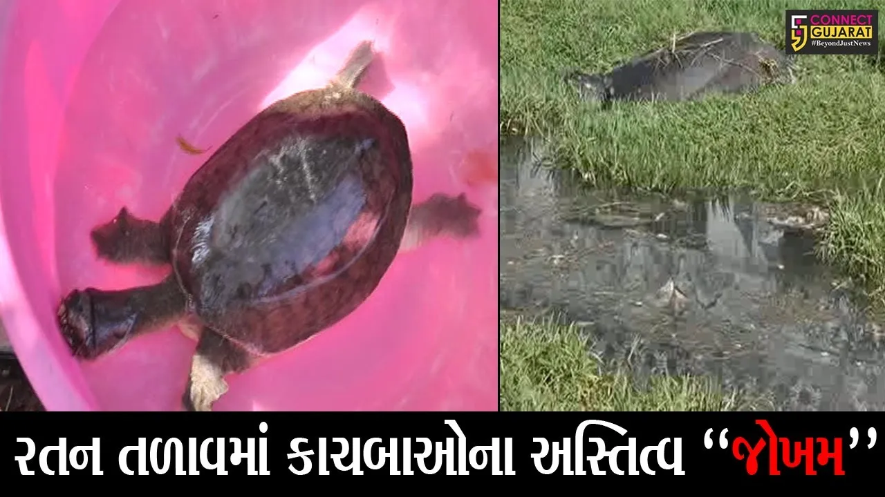 ભરૂચ : ઐતિહાસિક રતન તળાવ અસ્તિત્વ ગુમાવવાની આરે, જાણો સ્થાનિકોએ કેમ ફૂંક્યું આંદોલનનું “રણશીંગુ”..!