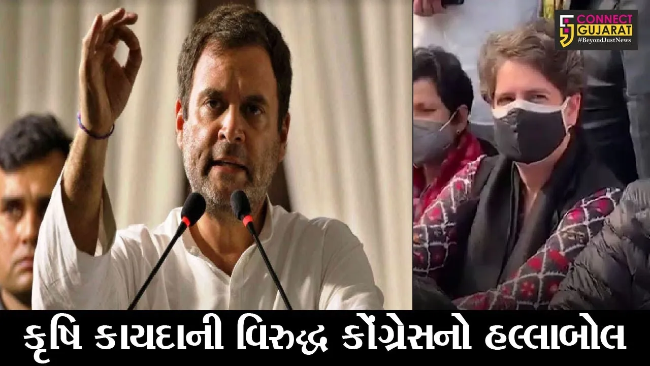 ખેડૂત આંદોલન : 2 કરોડ ખેડૂતોના હસ્તાક્ષર એકત્ર કરી રાહુલ ગાંધી રાષ્ટ્રપતિને મળ્યા, પ્રિયંકા ગાંધીની અટકાયત