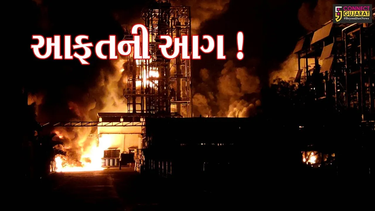 વડોદરા: શિવમ પેટ્રોકેમિકલ કંપનીમાં ભિષણ આગ,6 કામદાર દાઝ્યા,જુઓ આગના દ્રશ્યો