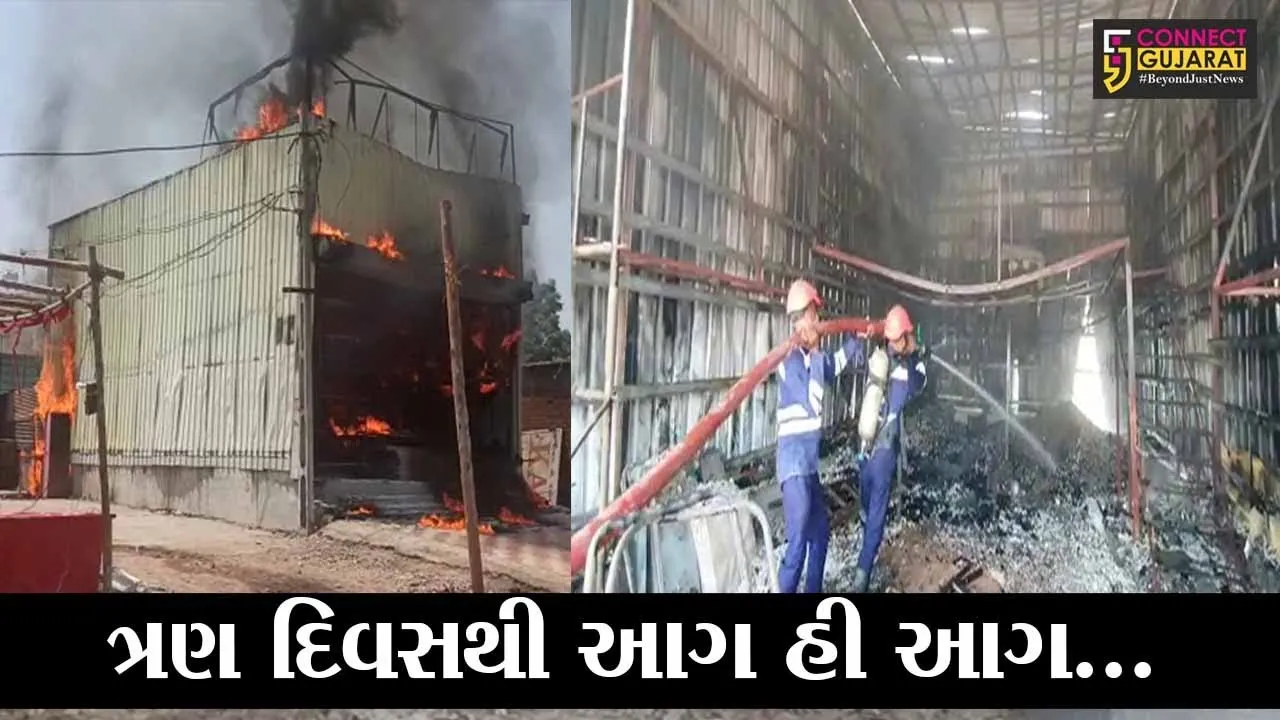વડોદરા : ખોડીયારનગરમાં પ્લાયવુડના ગોડાઉનમાં ભીષણ આગ, ત્રણ દિવસમાં આગના 3 બનાવ