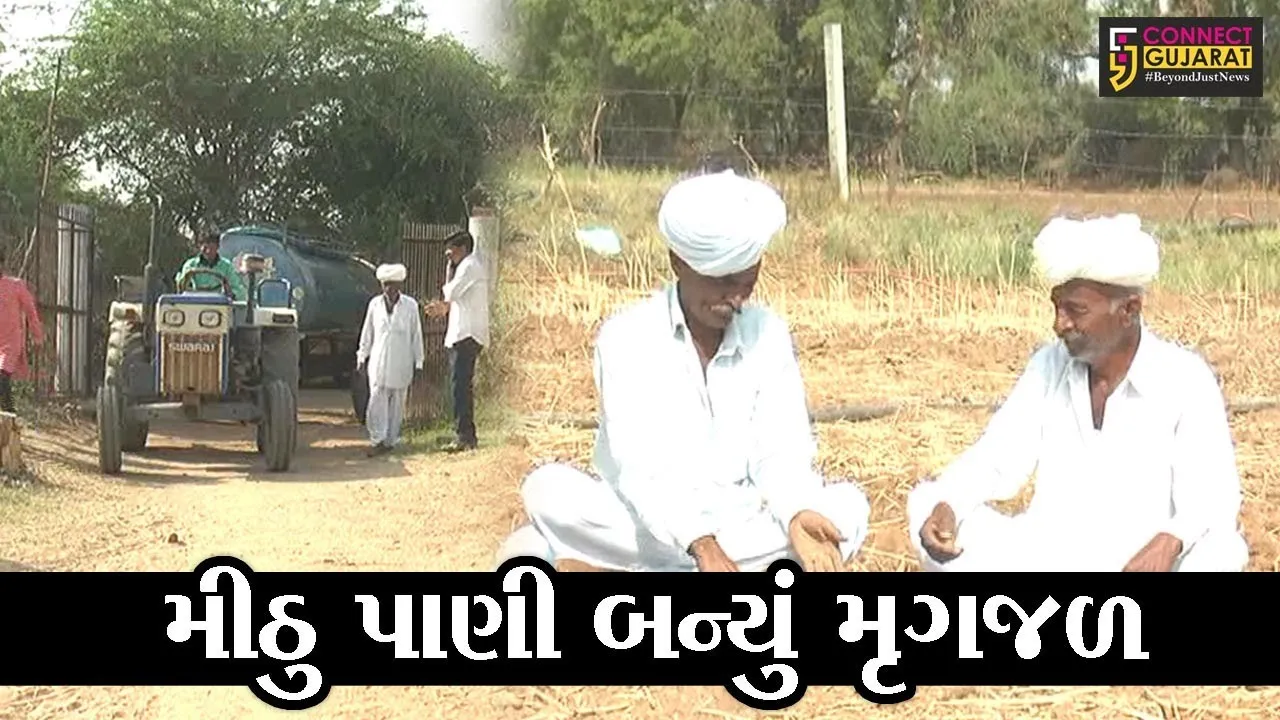 બનાસકાંઠા : ઝેરડા ગામમાં પાણી માટે ઝઝુમતાં લોકો, સિંચાઇની સાથે પીવાના પાણીના વલખાં