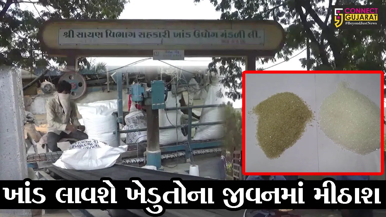 સુરત : દક્ષિણ ગુજરાતની સુગર મિલોમાં બ્રાઉન સુગરનું  ઉત્પાદન શરૂ, જુઓ ખાંડનું વિદેશ કનેકશન