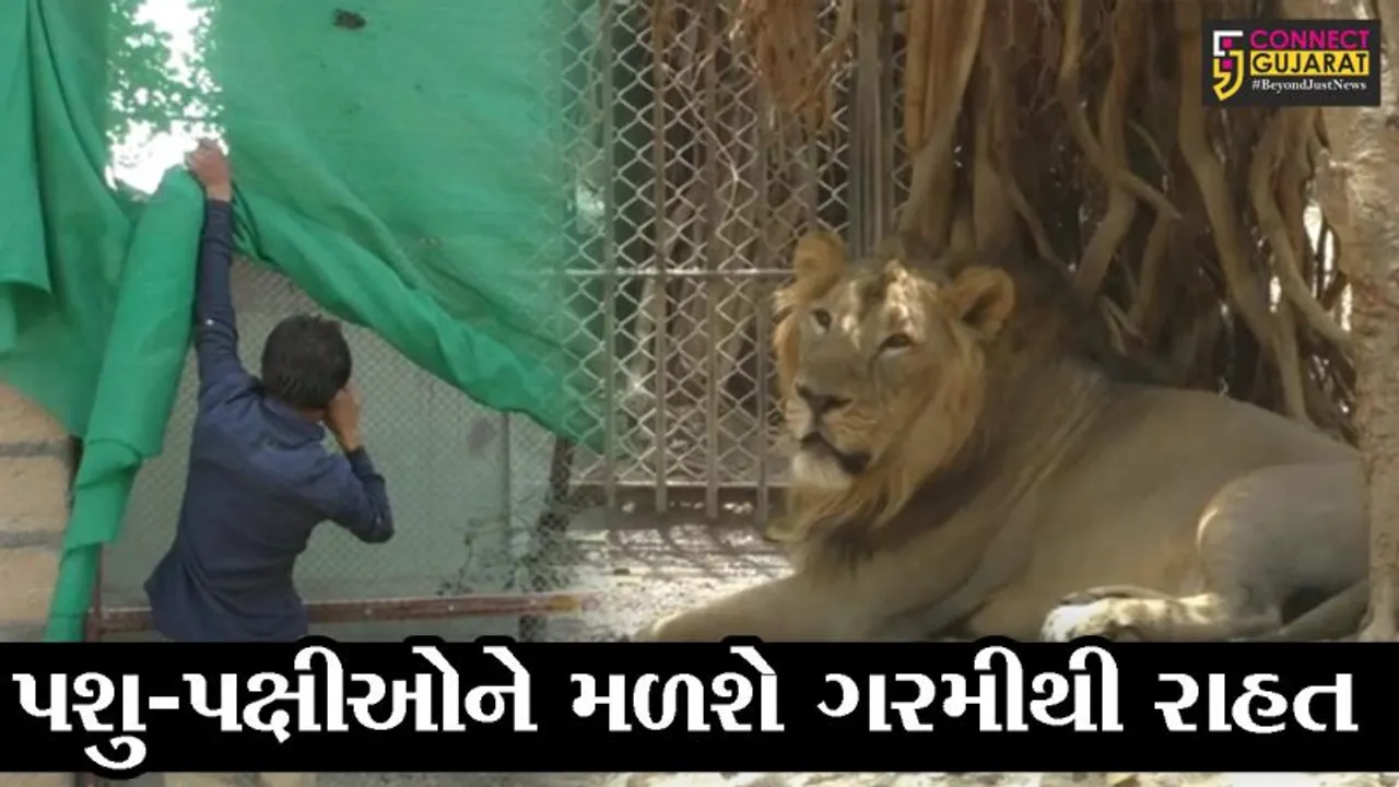 જુનાગઢ: કાળઝાળ ગરમીની થઈ ગઈ શરૂઆત, સક્કરબાગ ઝૂમાં પશુ-પક્ષીઓ માટે કરાઇ અલાયદી વ્યવસ્થા
