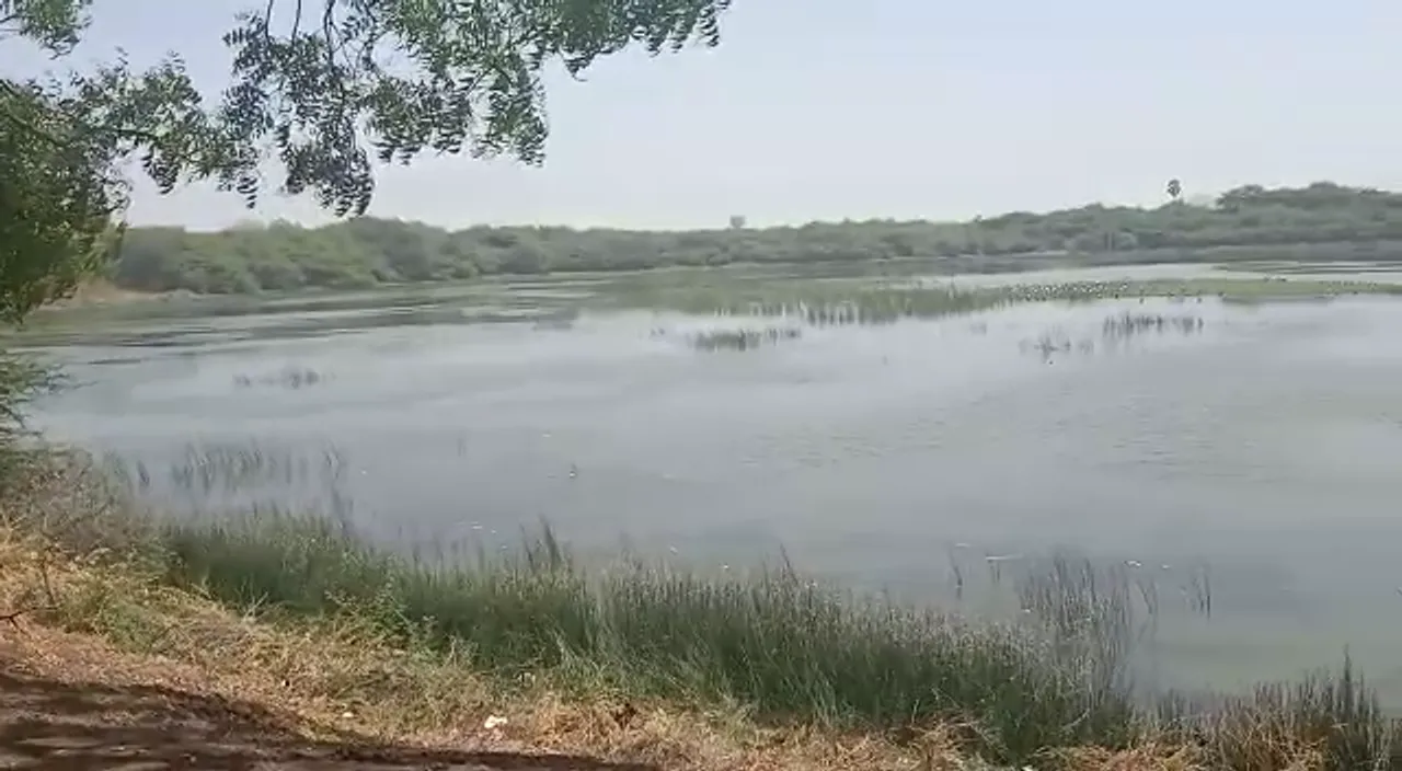 ભાવનગર : સુજલામ સુફલામ જળ અભિયાનનો કરાયો પ્રારંભ, સમગ્ર જીલ્લામાં તબક્કાવાર કામગીરીની શરૂઆત